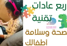 طريقة التقديم على تأشيرة السياحة السعودية 2024 بنفسك ومن منزلك